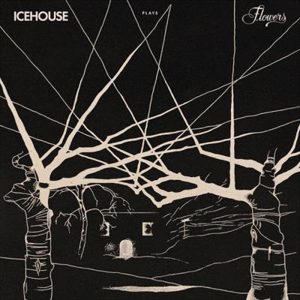 Icehouse - Plays Flowers (Live)